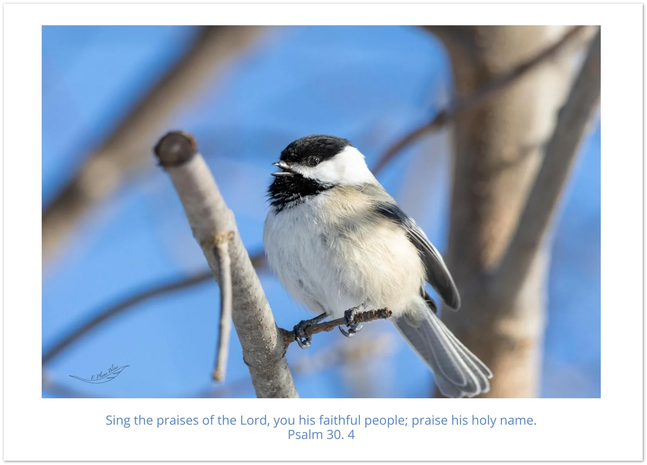 Greeting card with Bible verse