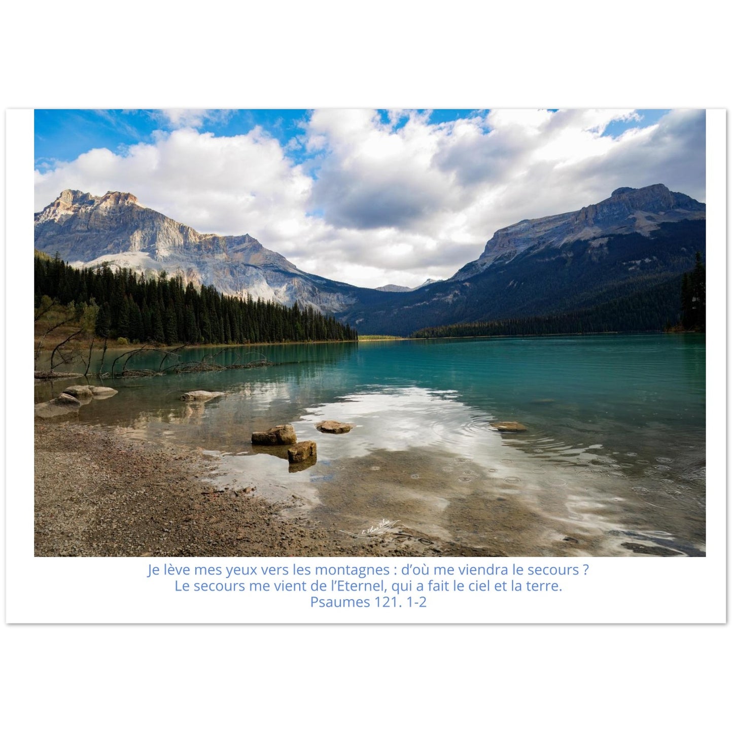 06e902d8-c709-4a9c-ac1c-f53d9efcbbd2