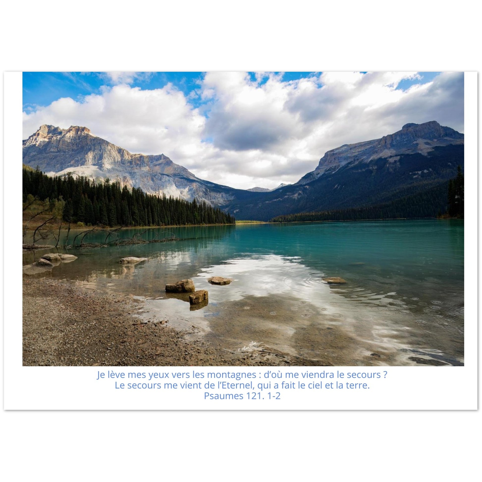 06e902d8-c709-4a9c-ac1c-f53d9efcbbd2