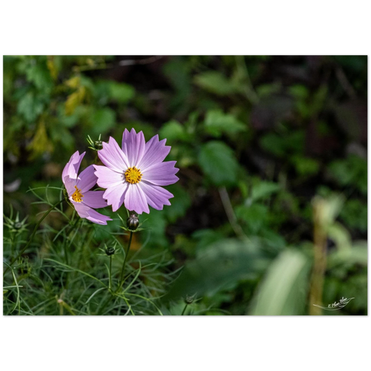 0a6863fa-e6c5-4fb9-8846-c9ce6d63ef23