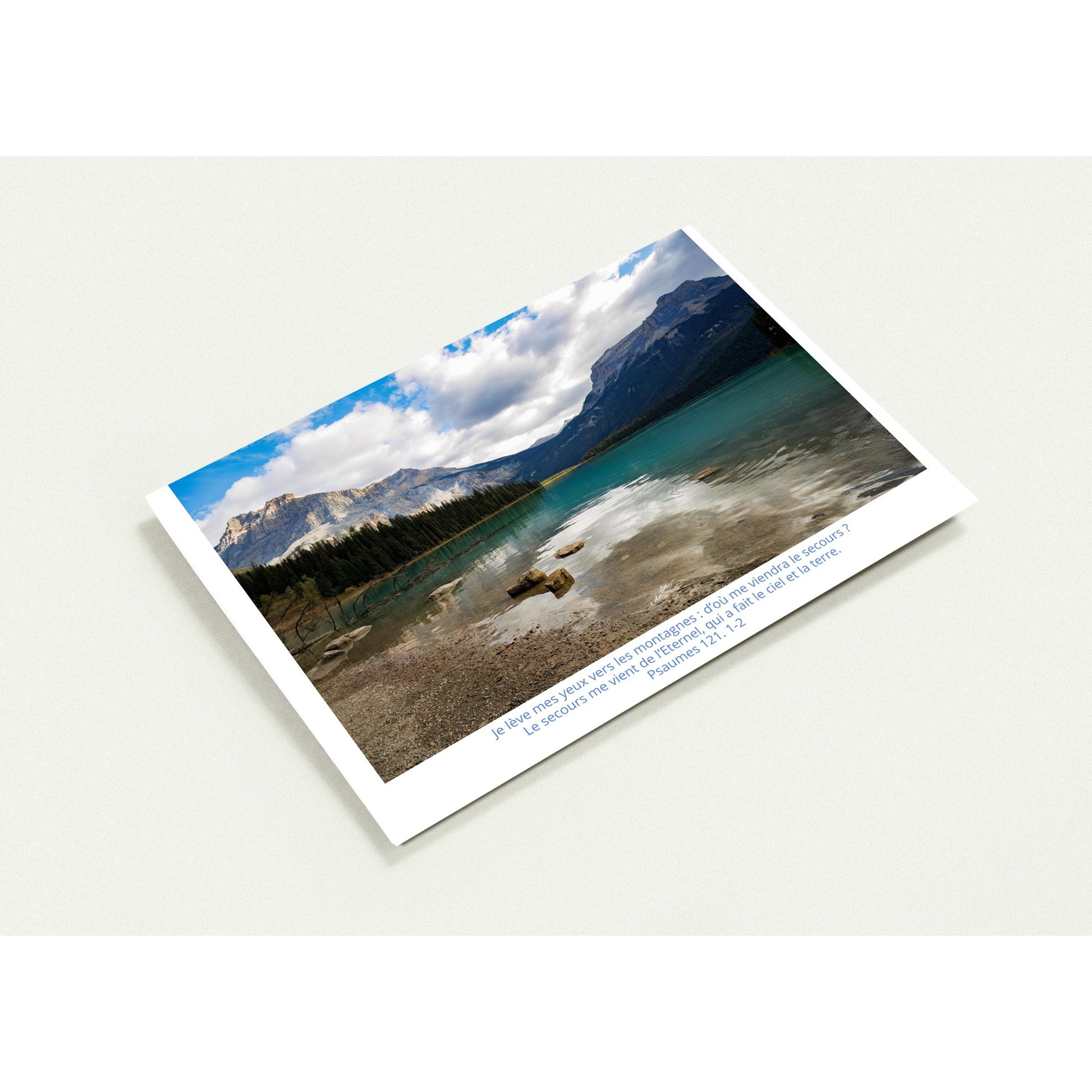 2937fe16-265f-4475-b34d-f520e68eb015