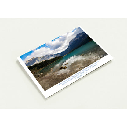 2937fe16-265f-4475-b34d-f520e68eb015