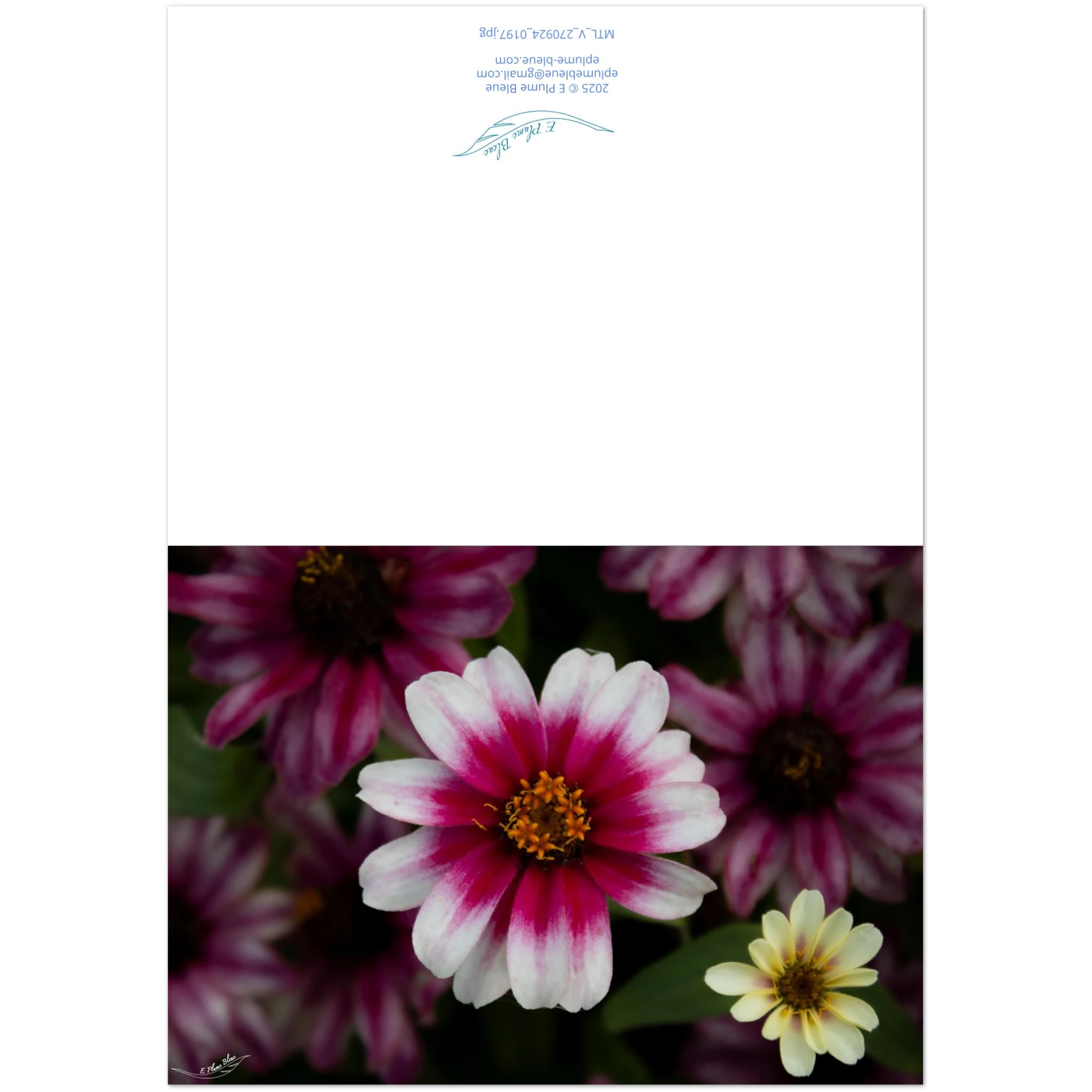 49cb690d-c6f3-4404-a205-39fc7c720595