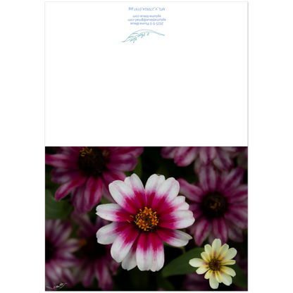 49cb690d-c6f3-4404-a205-39fc7c720595