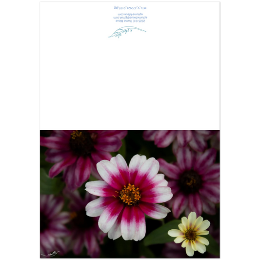 49cb690d-c6f3-4404-a205-39fc7c720595