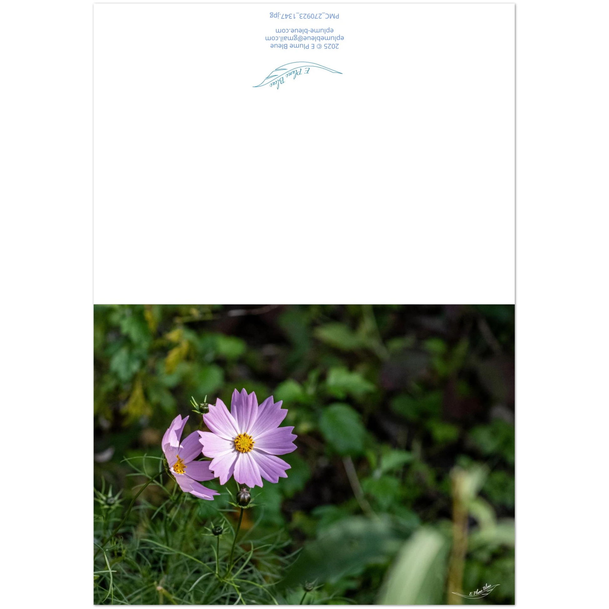 96e00759-d894-4225-a84c-9242b845cbfc