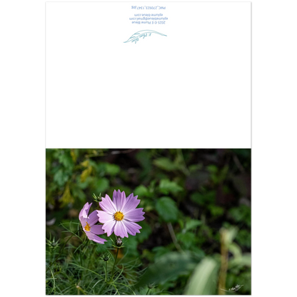 96e00759-d894-4225-a84c-9242b845cbfc