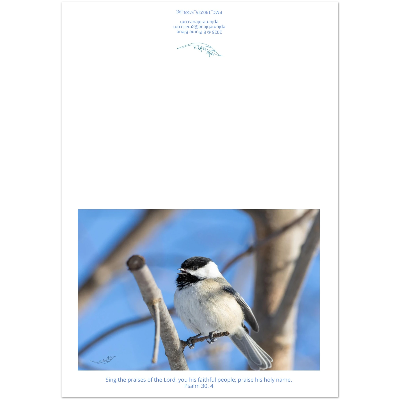 Black-capped-chickadee-card-montage-Ps-30-5