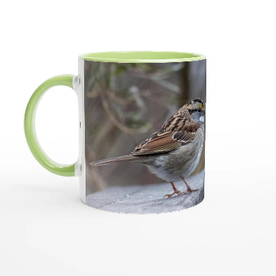 Bruant-a-gorge-blanche-tasse-vert