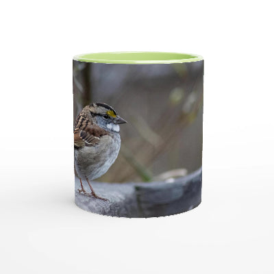 Bruant-a-gorge-blanche-tasse-verte
