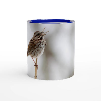Bruant-chantant-tasse-bleue