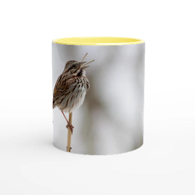 Bruant-chantant-tasse-jaune-profil