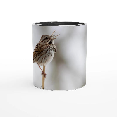 Bruant-chantant-tasse-noir