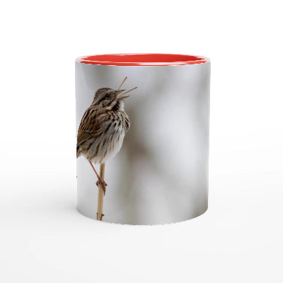 Bruant-chantant-tasse-rouge