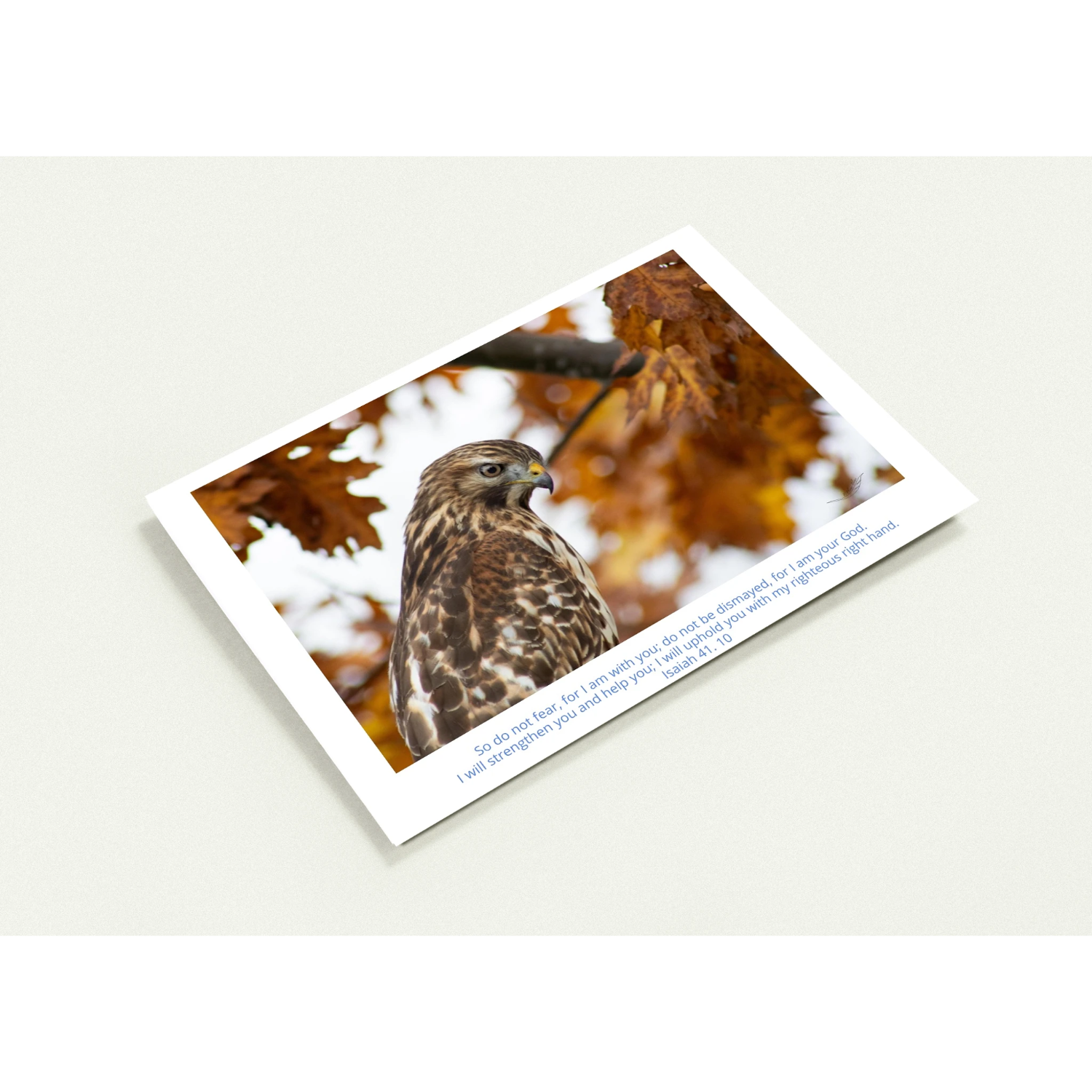 Card-Buzzard-profile-Isaiah-41-10-profil