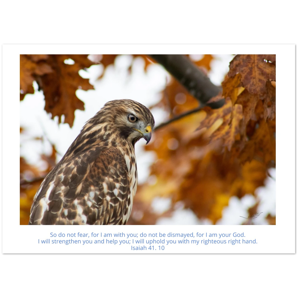 Card-Buzzard-profile-Isaiah-41-10
