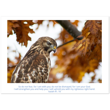 Card-Buzzard-profile-Isaiah-41-10