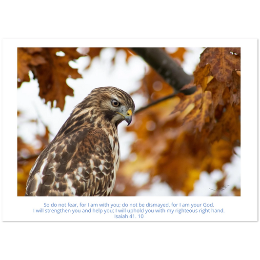 Card-Buzzard-profile-Isaiah-41-10