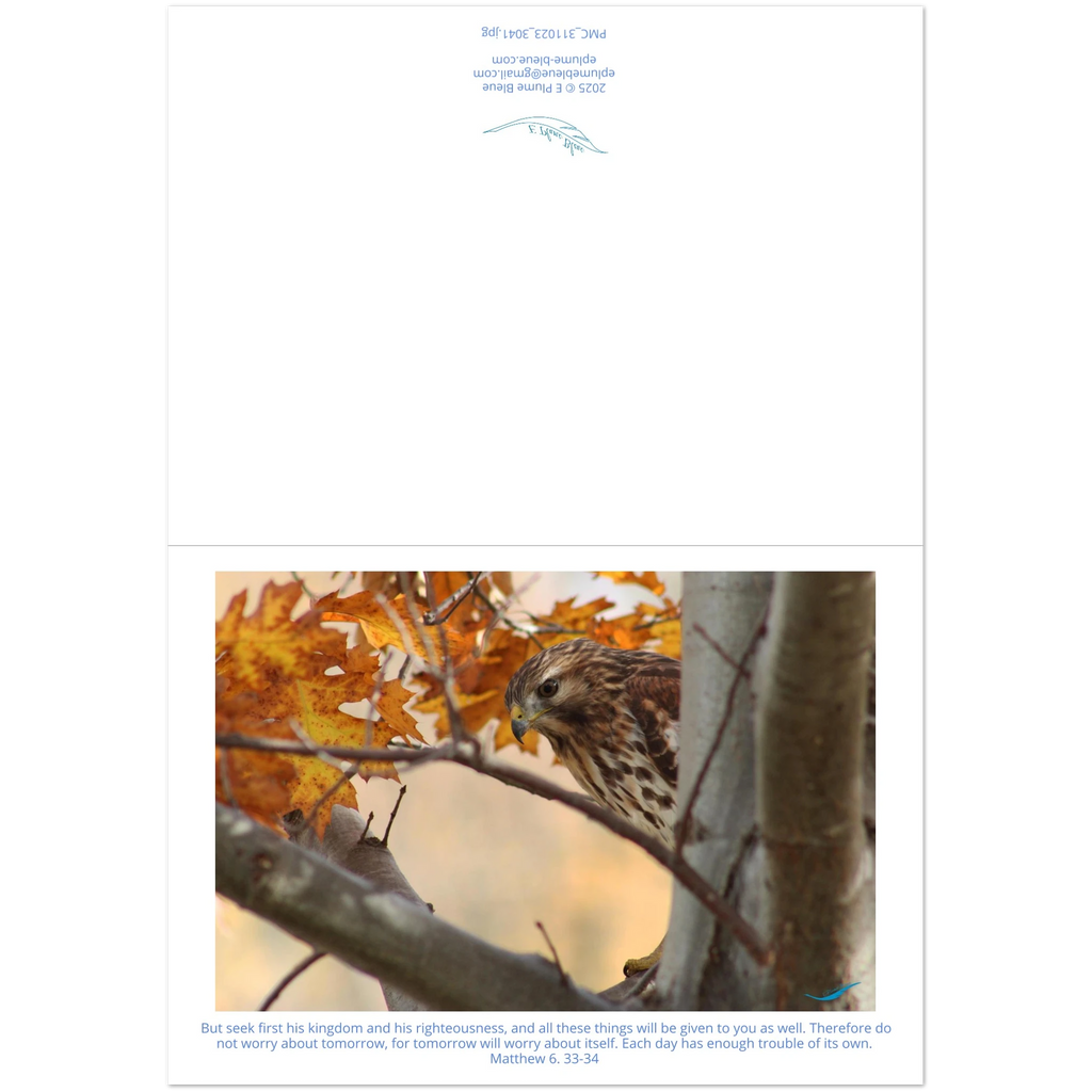 Card-Shy-Hawk-Matthew-6-33-34-montage