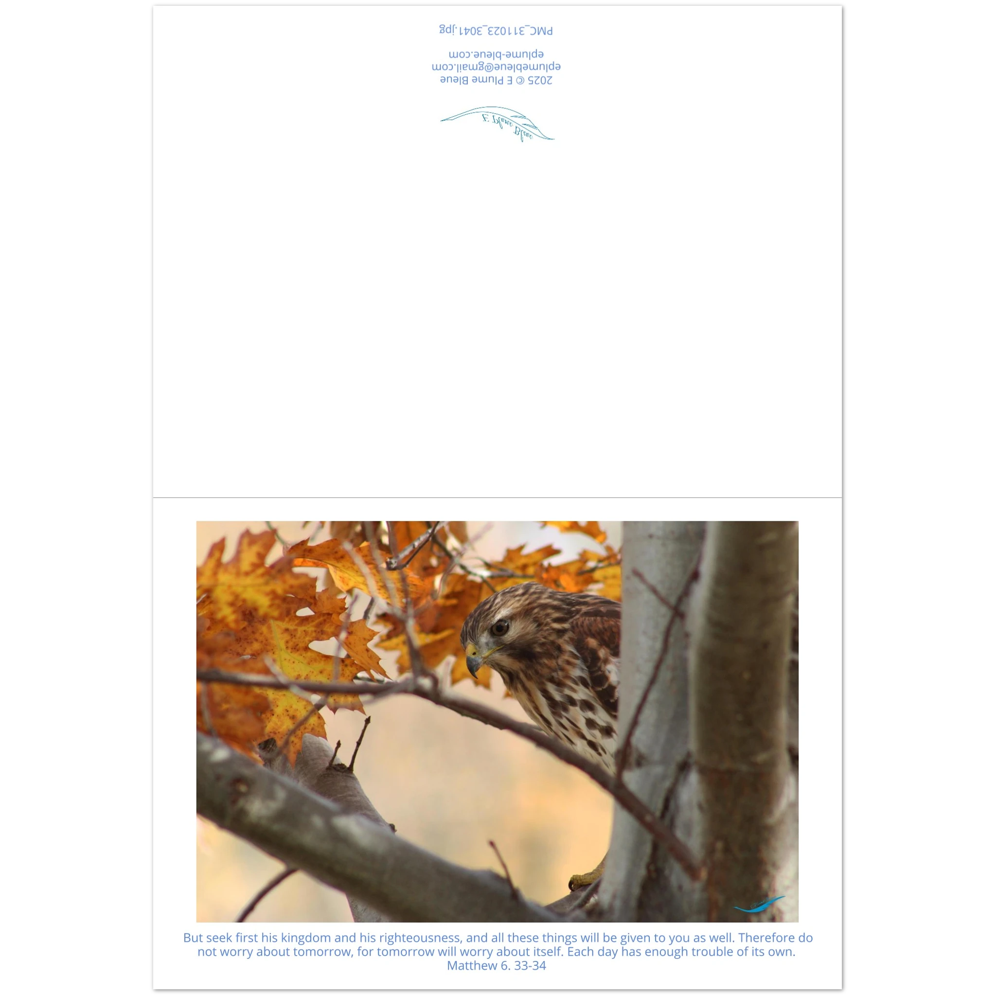 Card-Shy-Hawk-Matthew-6-33-34-montage
