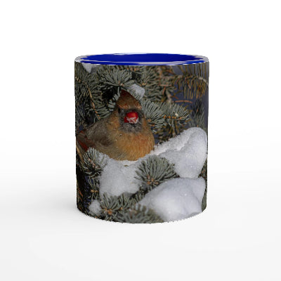 Cardinal-femelle-tasse-bleue