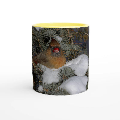 Cardinal-femelle-tasse-jaune