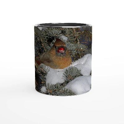 Cardinal-femelle-tasse-noir