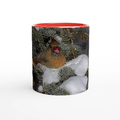 Cardinal-femelle-tasse-rouge