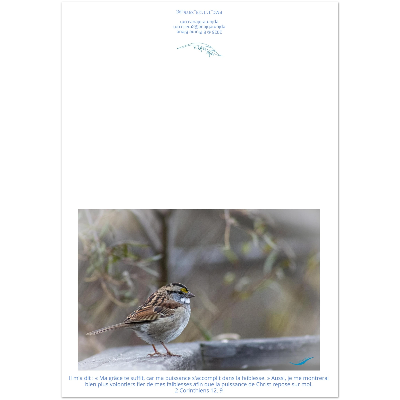Carte-Bruant-2-Cor-12-9-montage