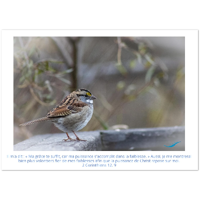 Carte-Bruant-2-Cor-12-9