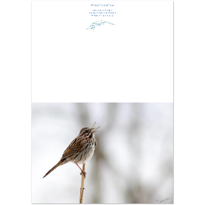 Carte-Bruant-Chantant-montage