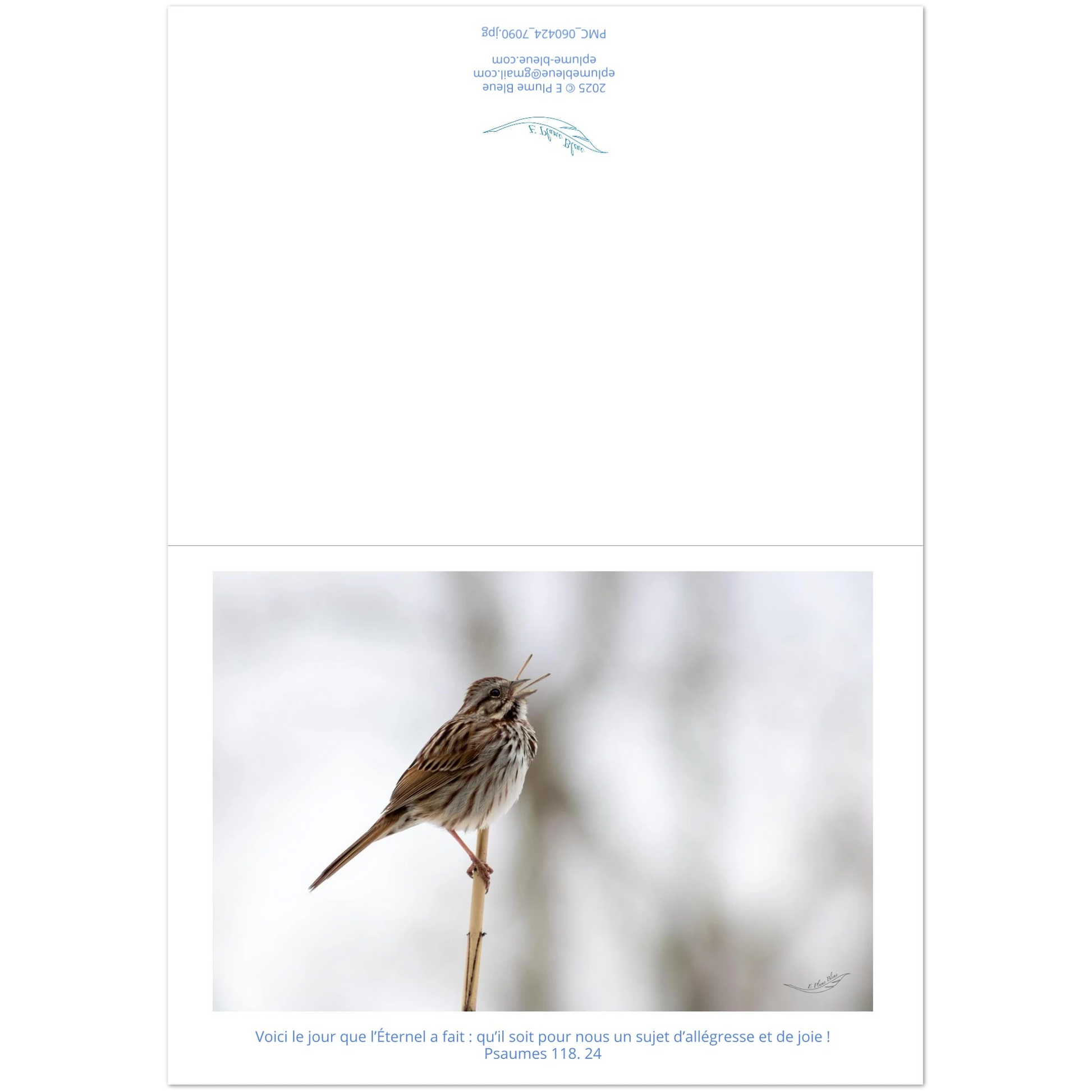 Carte-Bruant-chantant-Ps-118-24-montage