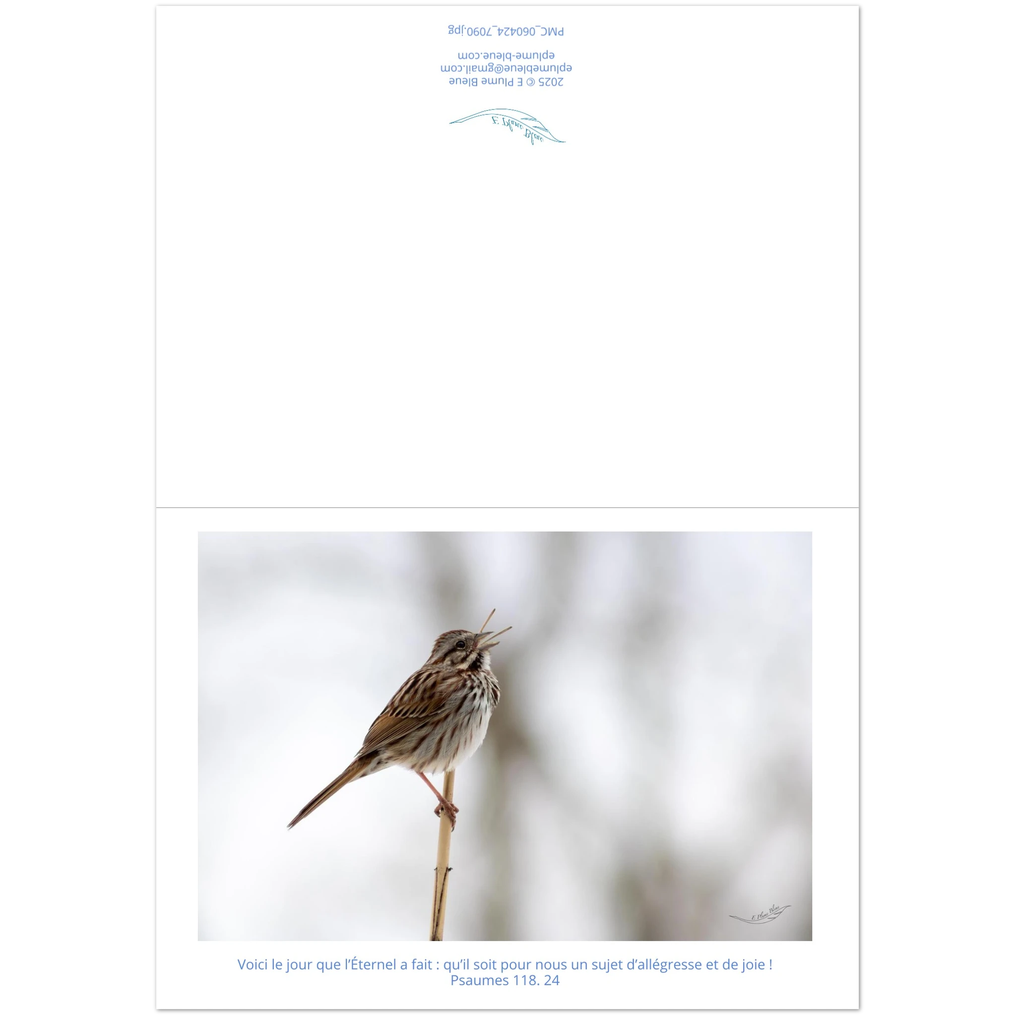 Carte-Bruant-chantant-Ps-118-24-montage
