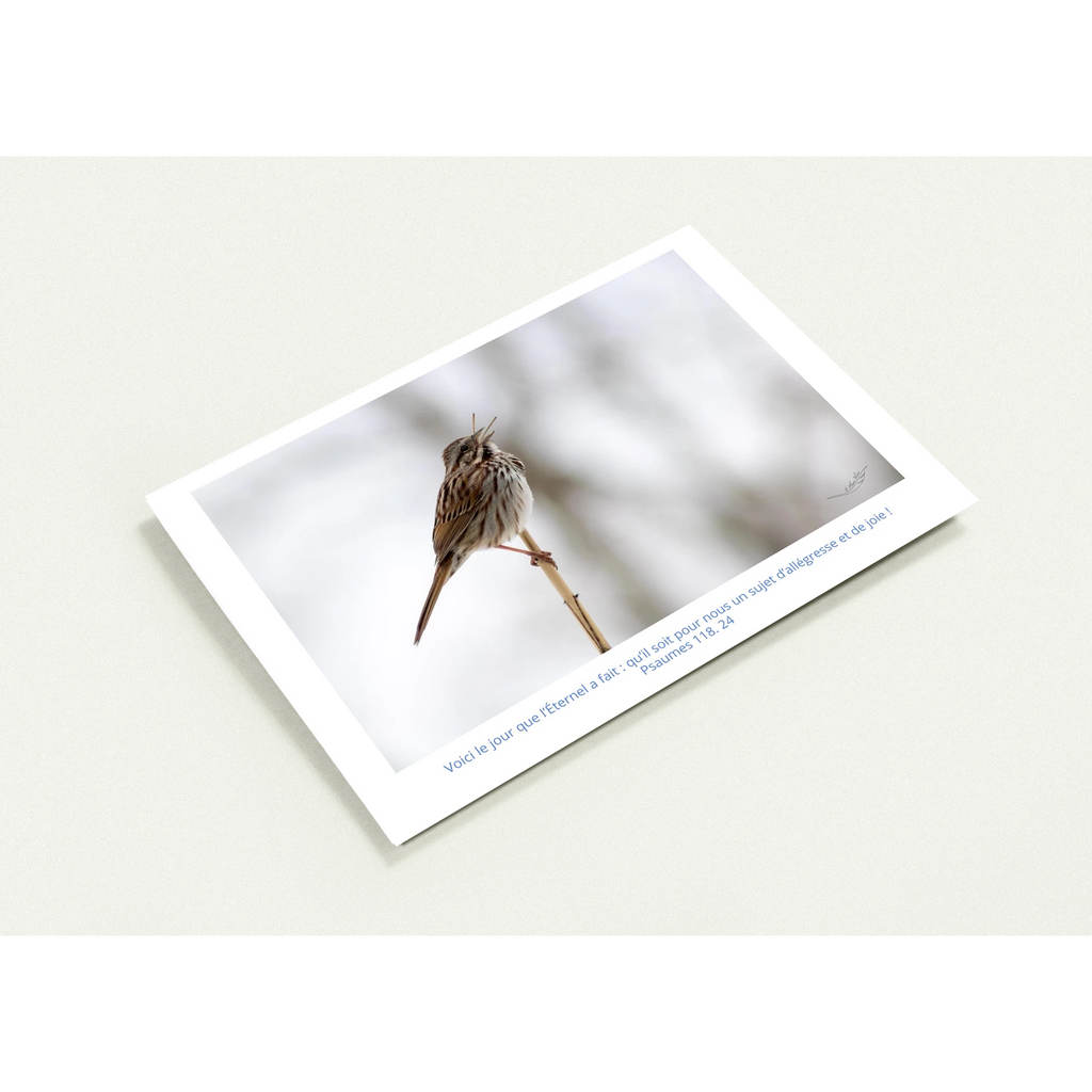 Carte-Bruant-chantant-Ps-118-24-profil