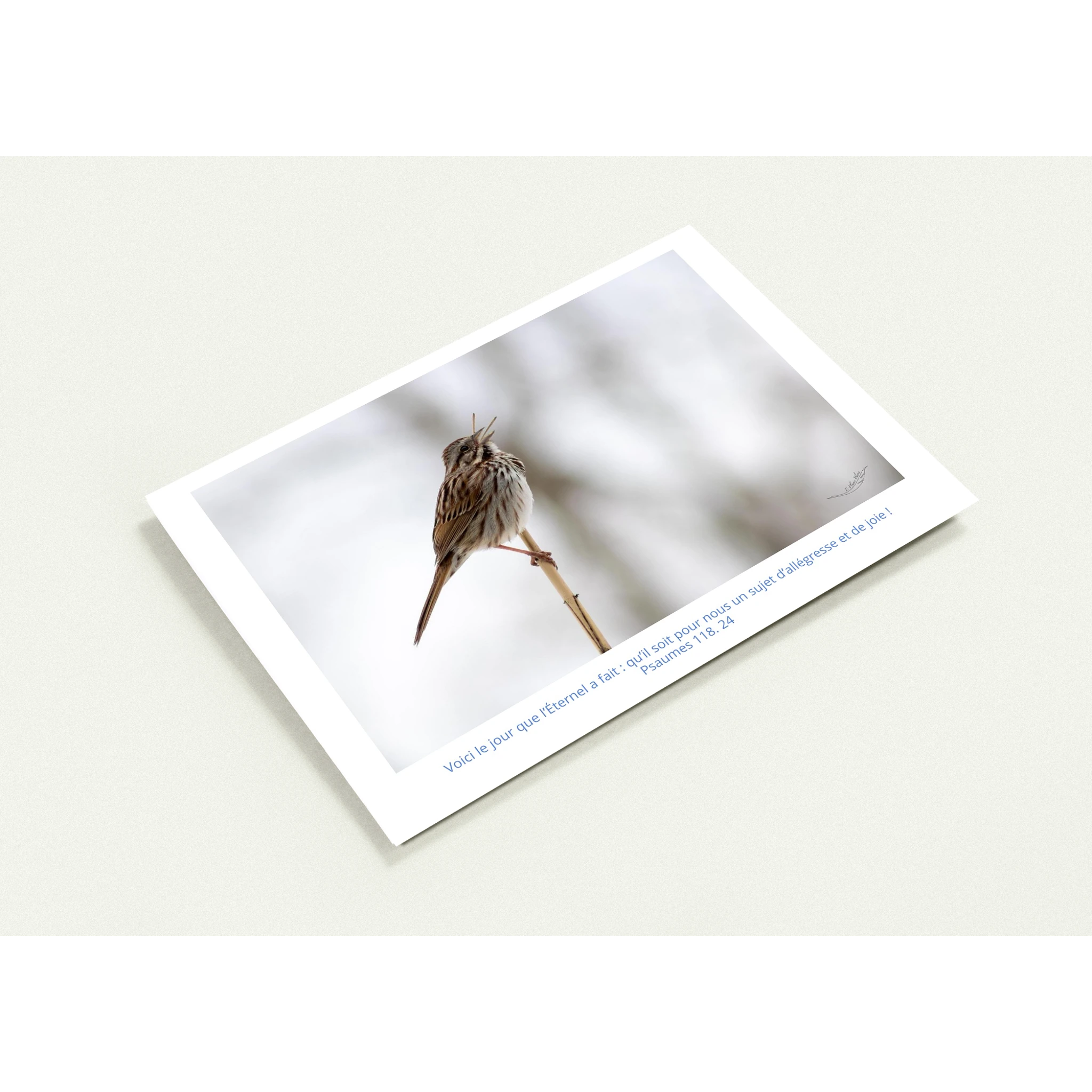 Carte-Bruant-chantant-Ps-118-24-profil