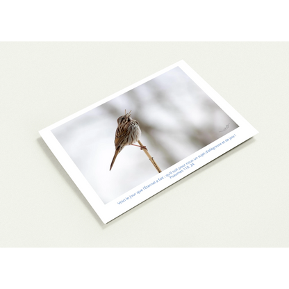 Carte-Bruant-chantant-Ps-118-24-profil