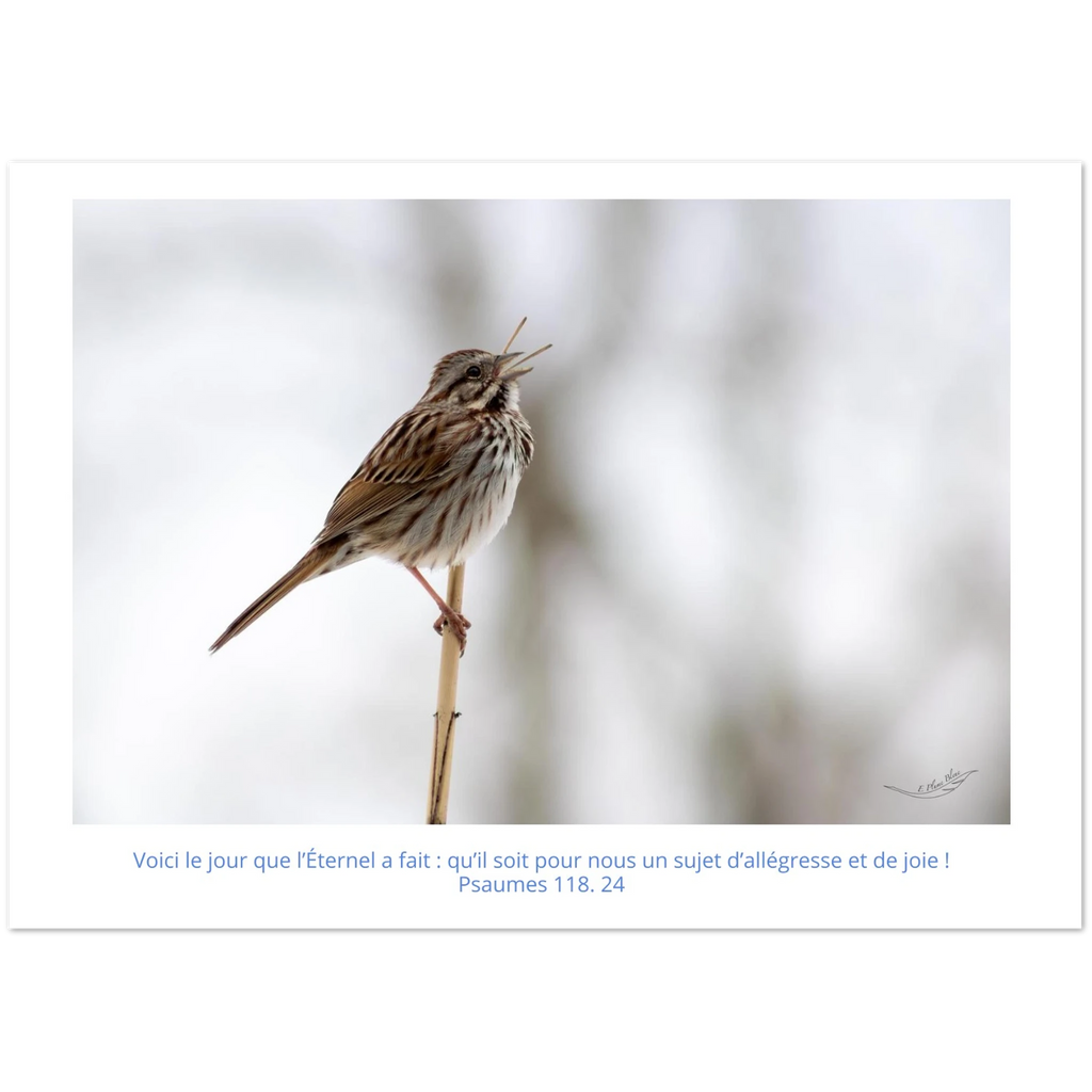 Carte-Bruant-chantant-Ps-118-24
