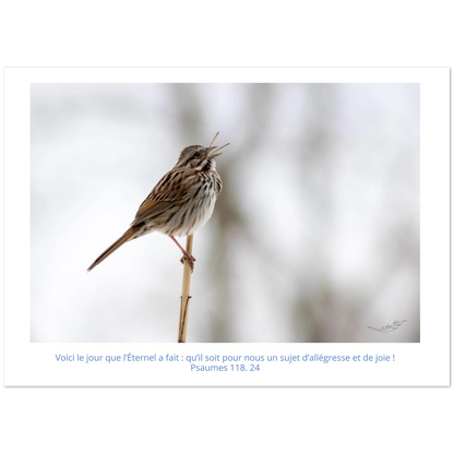 Carte-Bruant-chantant-Ps-118-24