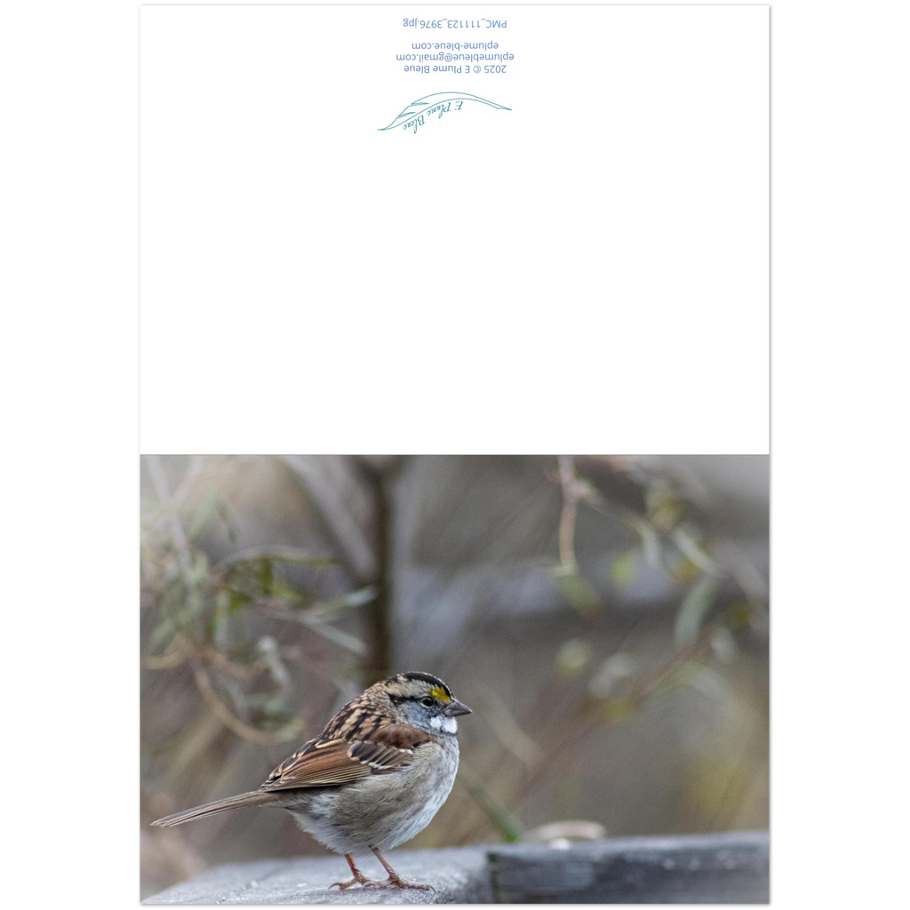 Carte-Bruant-montage