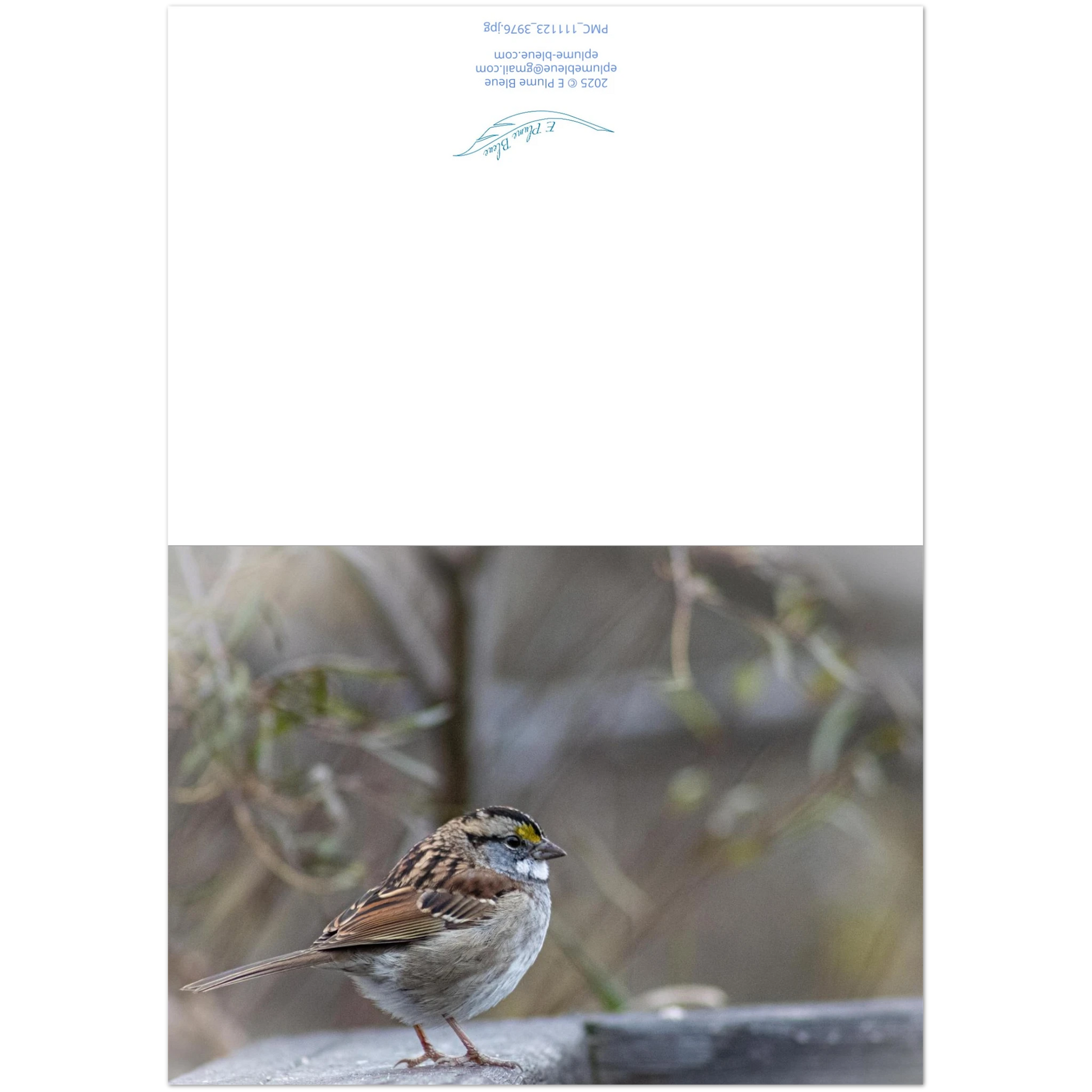 Carte-Bruant-montage