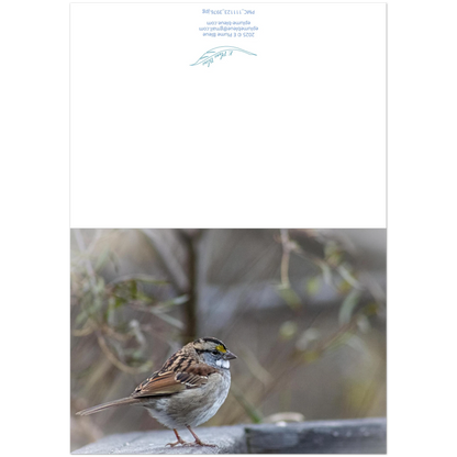 Carte-Bruant-montage