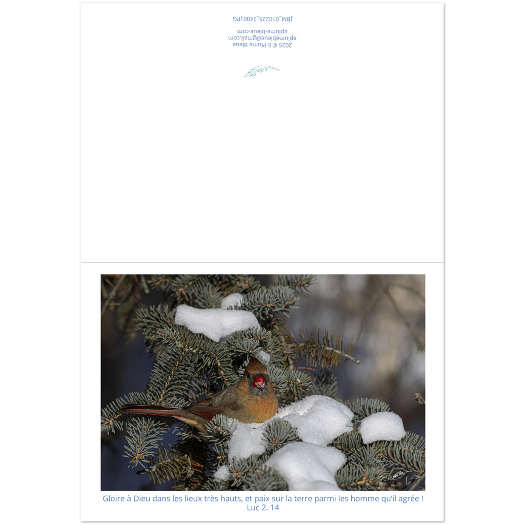 Carte-Cardinal-femelle-Lc-2-14-montage