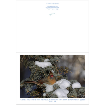 Carte-Cardinal-femelle-Lc-2-14-montage