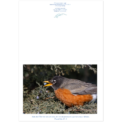 Carte-Merle-d-amerique-Ps-37-4-montage
