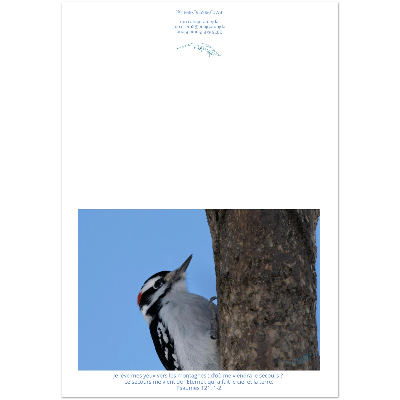 Carte-Pic-Ps-121-1-2-montage