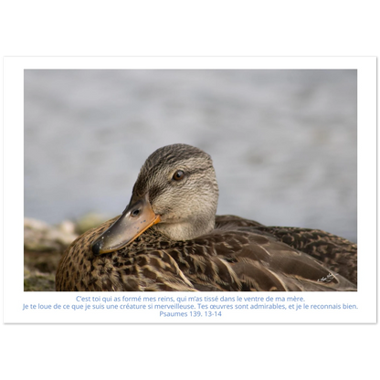 Carte-Psaumes-139-13-14-Colvert