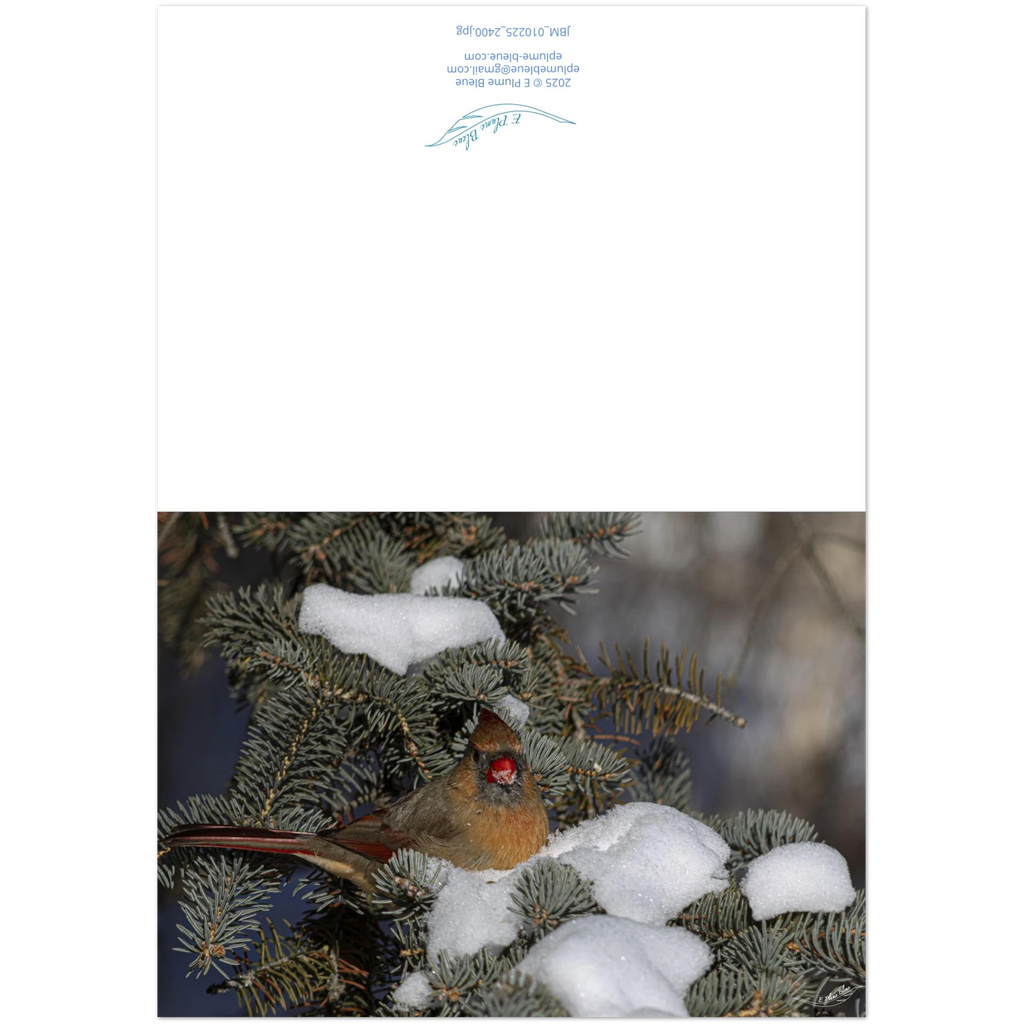 Carte-avant-arriere-Cardinal
