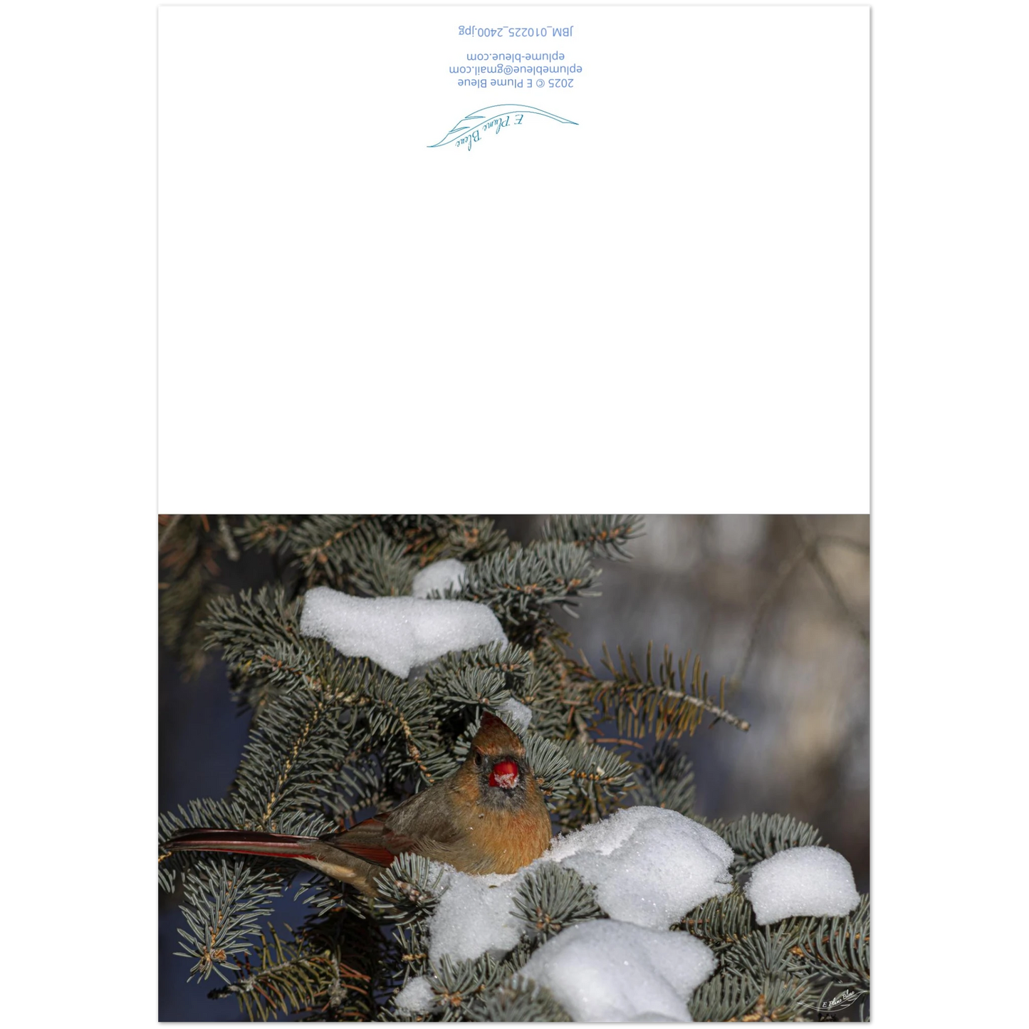 Carte-avant-arriere-Cardinal
