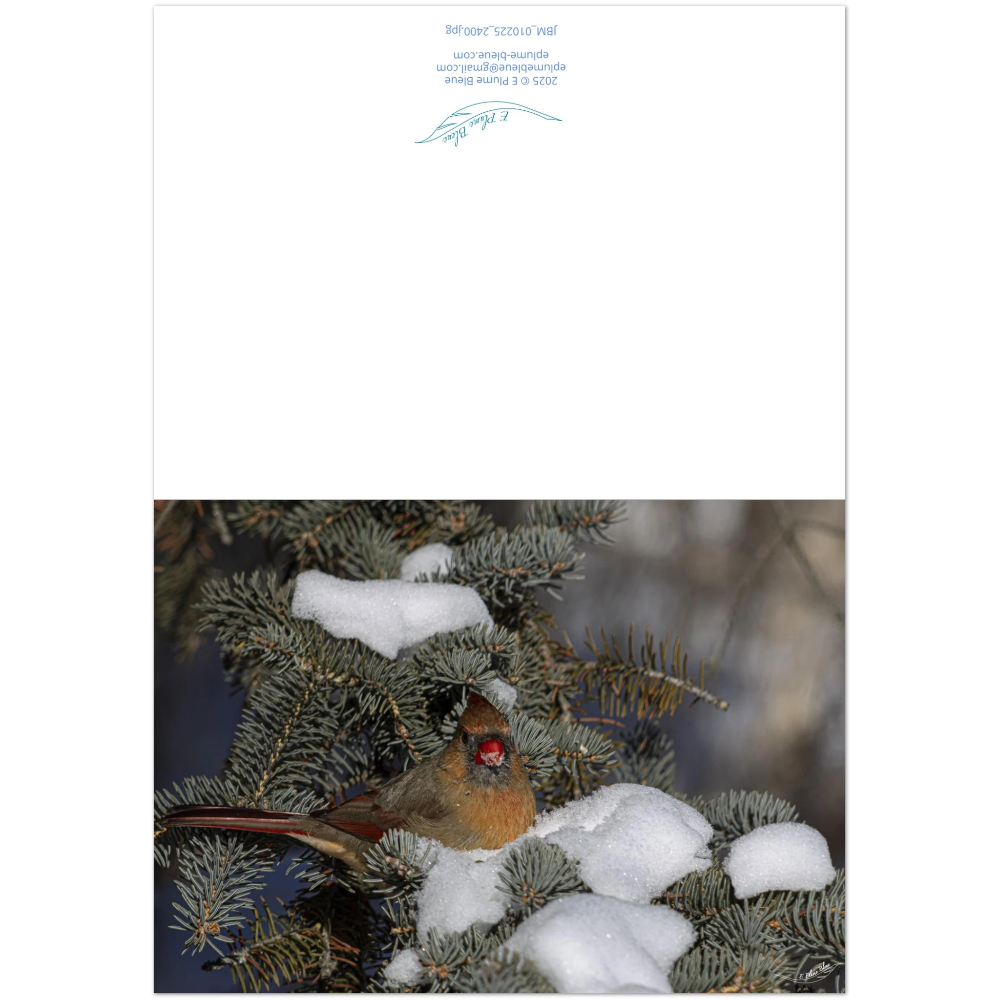 Carte-avant-arriere-Cardinal