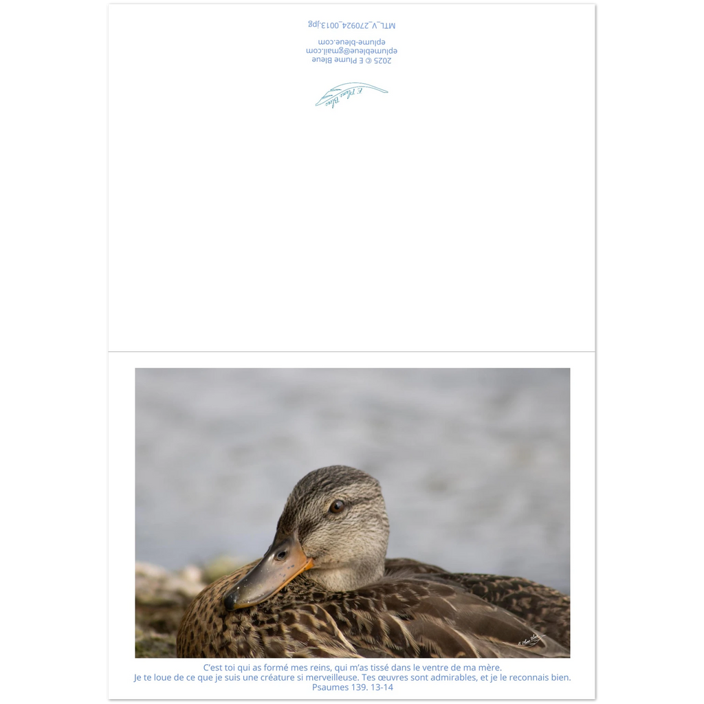 Carte-devant-et-arriere-Psaumes-139-13-14-Colvert